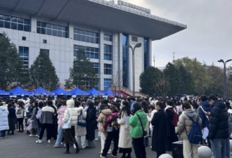 1270万毕业生压顶 专家一句话网友炸了