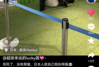 日本没熊猫了就用人来假扮，游客：还蛮像...