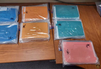 多伦多-卡尔加里芬太尼贩毒网络4人被控，名字都叫...