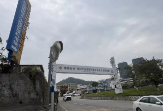 “见过抢米抢面，没见过抢塑料”，东莞小镇大堵车