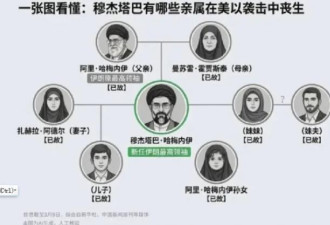 穆杰塔巴变人形立牌，传重伤截肢、可能已死