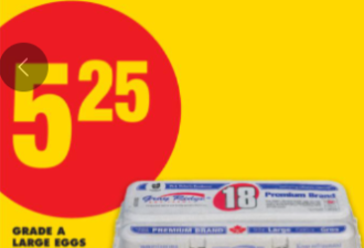 本周特价: 羊腿$5.25 牛奶$5.19 芒果$6.98/箱 10lb土豆$2