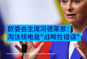 冯德莱恩：欧洲淘汰核电是一个"战略性错误"
