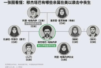 伊朗大使曝内幕：哈梅内伊反对儿子接班