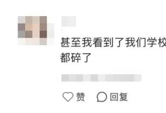 AI能做的专业 大学正统统砍掉