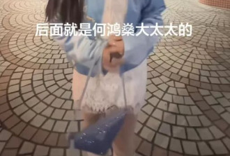 赌王元配黎婉华澳门大宅曝光,皇宫级内貌全公开,极品古董随处可见