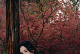卢靖姗带4个月儿子赏春，穿礼服踩高跟推婴儿车像走秀，二胎好乖