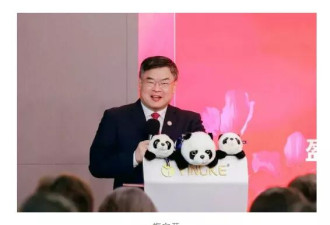 暴雷风波中的“宇宙大所” 律师界冒险的"梅老板"