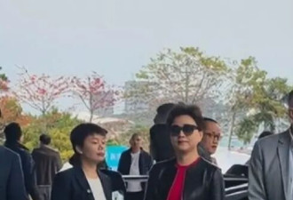 杨澜参加车展 全程被冷落 吴征大腹便便不正眼看她