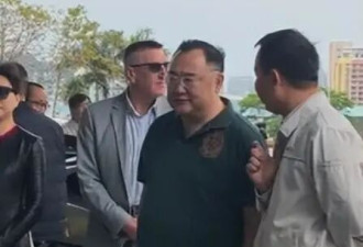 杨澜参加车展 全程被冷落 吴征大腹便便不正眼看她