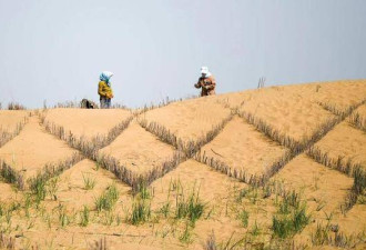 “反人类操作”，中国即将消灭第二个沙漠