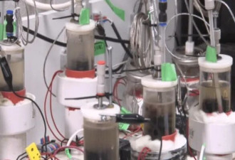 麦大研究遭质疑：研究什么不好非研究这…弄它有啥用啊？