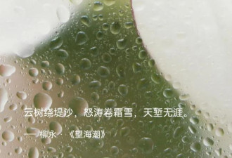 大脑里这3个神经回路，决定了你90%的“命好”