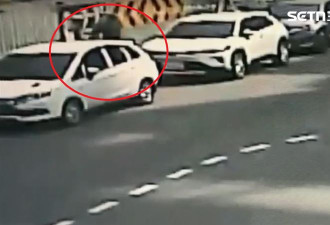柯文哲脸涂“王八、贪污犯” 嫌犯落网