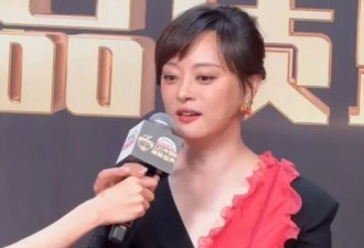 电视剧盛典红毯：孙俪压轴扛住镜头