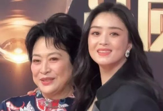 电视剧盛典红毯：孙俪压轴扛住镜头