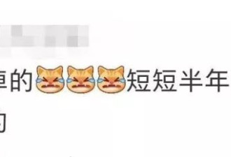知名品牌80元一个的发圈，被炒到999元
