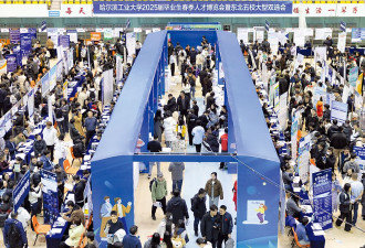 月薪6万多 这类人才被疯抢 职位数量增长12倍