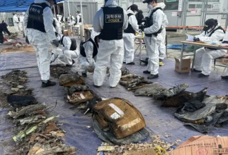 韩国济州航空空难时隔一年多再发现遇难者遗骸