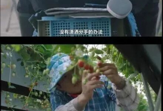 出轨的中年男女，开始付费治疗婚姻....