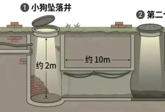 普通人的不平凡事件:拯救一只被困井下两年的小狗
