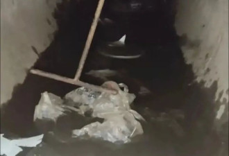 普通人的不平凡事件:拯救一只被困井下两年的小狗