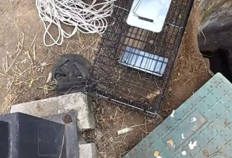 普通人的不平凡事件:拯救一只被困井下两年的小狗