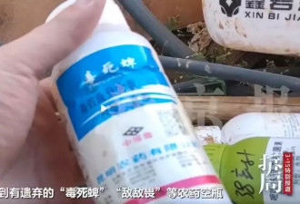 冻干草莓测出20多种农药？云南成立调查组