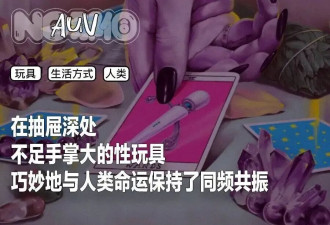 情趣小玩具，是人类动荡之时最平等的橄榄枝