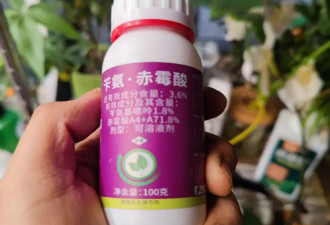 草莓是农残最高的水果吗？
