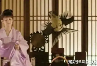赵丽颖亲口承认:演完明兰后再难接戏!不是演技..