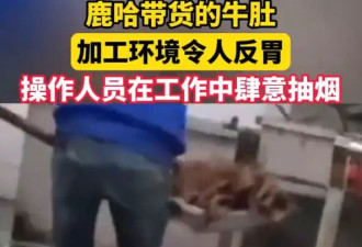 官方通报鹿哈带货牛肚加工环境问题！鹿哈或需赔偿消费者26.9亿元