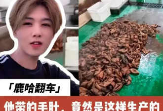 多位网红卷入315风波！带货品牌被立案调查