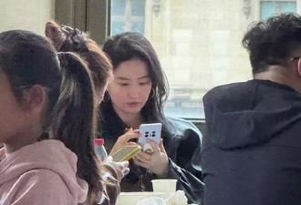 网友在卢浮宫偶遇刘亦菲！“神仙姐姐”美得毫不费力