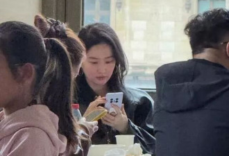 网友在卢浮宫偶遇刘亦菲！“神仙姐姐”美得毫不费力