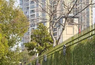 朱丹周一围街头牵手送娃上学，当年“缺席丈夫”争议再起波澜，真实婚姻藏在柴米油盐里