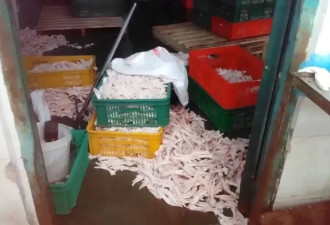 “3·15”晚会曝光名单:网红鸡爪生产车间令人作呕