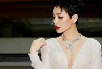 宁静儿子近照曝光，185大帅哥做金融，难怪她说这是自己最大底气