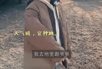 梅婷一家北京住大别墅还种地,和73岁公公种菜,相处和谐如亲父女
