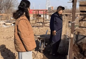 梅婷一家北京住大别墅还种地,和73岁公公种菜,相处和谐如亲父女