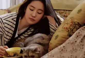 瞒不住了!刘亦菲当前感情状况曝光,蹲守半年的狗仔说出大实话