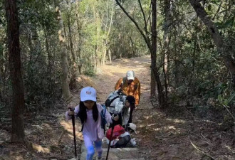 霍启刚一家五口爬山，3个孩子全程自己背包不娇气