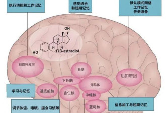 激素如何硬控女性的一生，看这一篇就够了