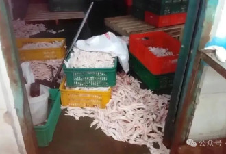 高官为何亲自给自己做饭，看完3·15终于明白了