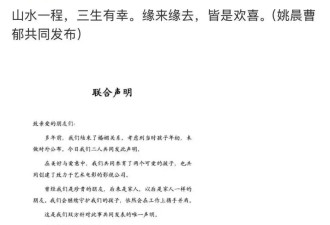 姚晨宣布离婚，二婚又离了!网友：震惊！