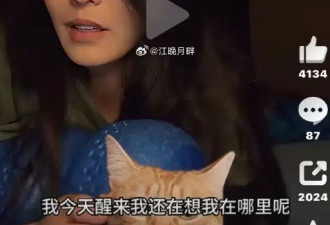 刚起床的素颜张柏芝依旧美爆了！雪肤玉貌不愧玉女掌门人