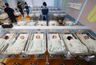 韩国人重新开始生娃，但人口危机仍未结束