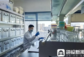 部分茶叶咖啡中检出“伟哥”，网红西梅汁暗藏强效泻药
