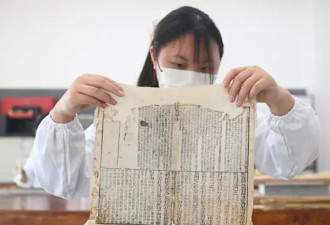"谁不想发篇学术垃圾" 中国年轻人建学术自娱平台