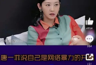 凌潇肃姚晨当年离婚！唐一菲社媒惨遭网暴....